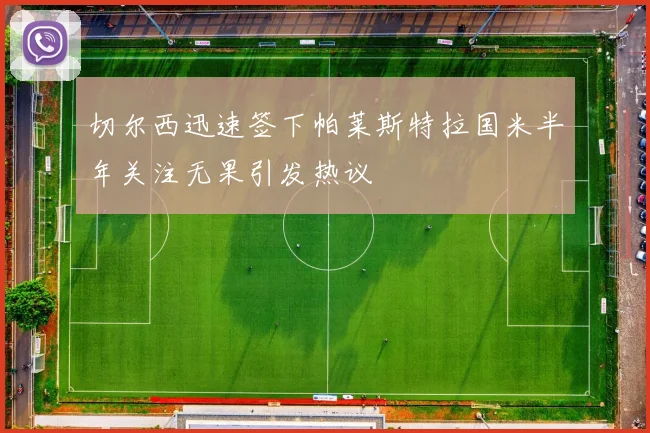 切尔西迅速签下帕莱斯特拉国米半年关注无果引发热议