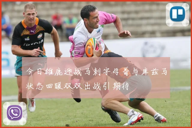 今日雄鹿迎战马刺字母哥与库兹马状态回暖双双出战引期待